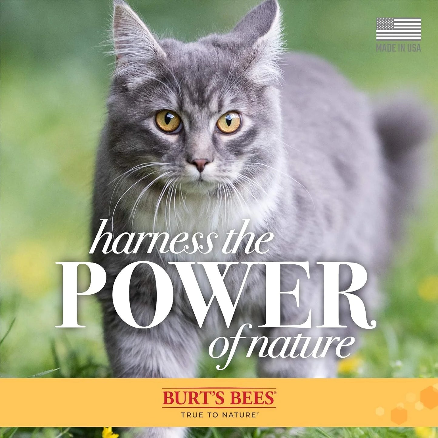 Grooming Supplies - Hypoallergenic Cat Shampoo Infused with Shea Butter and Honey