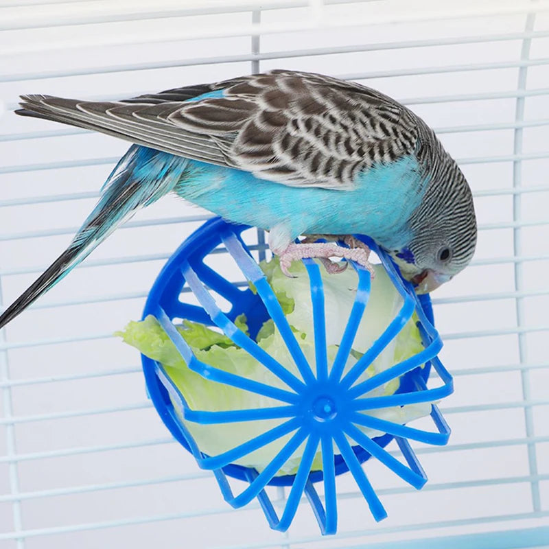 Feeding Accessories -1PC Bird Feeder Cage Holder Hanging Basket