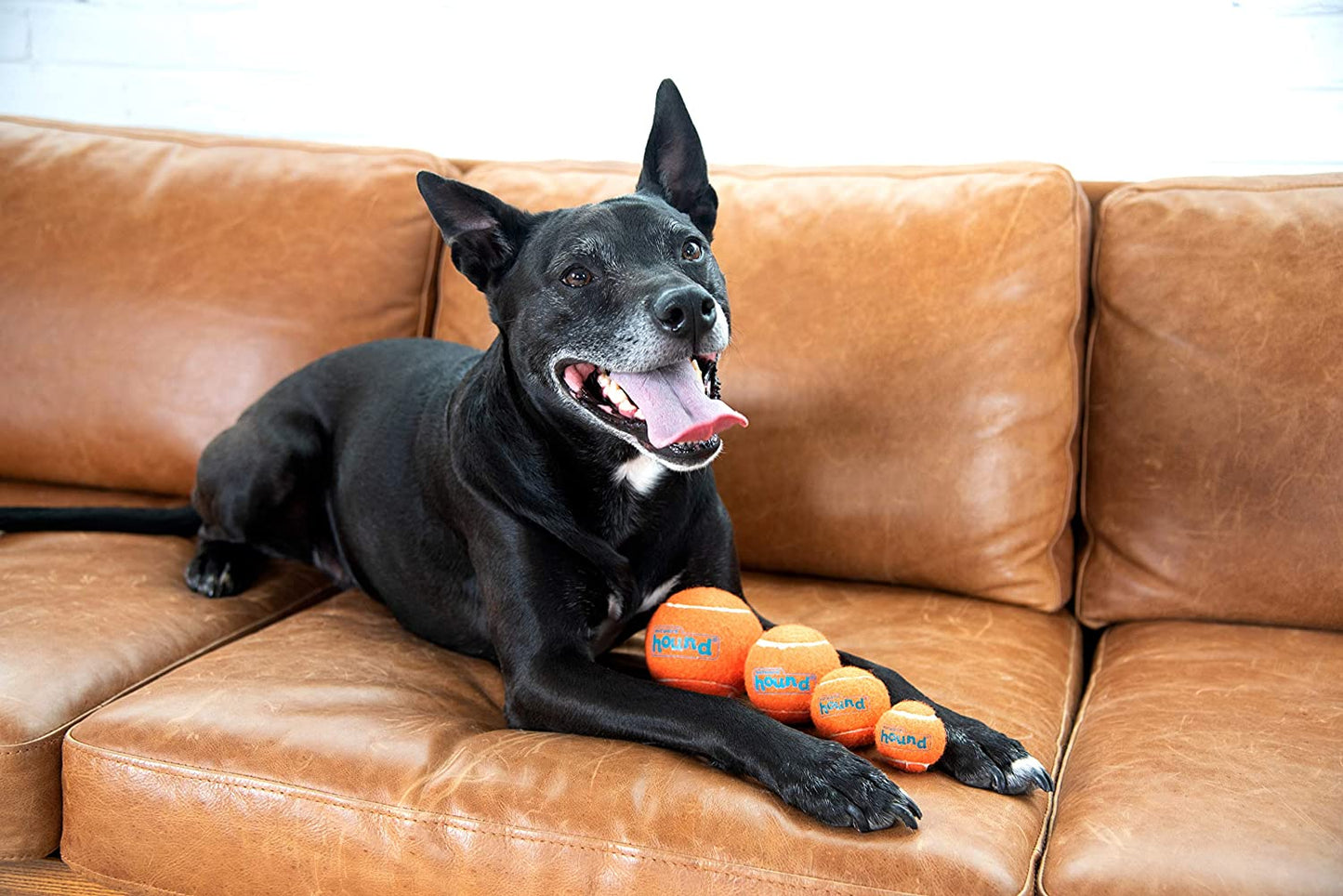 Toy- Squeaker Ballz Fetch Dog Toy, 8- Pack