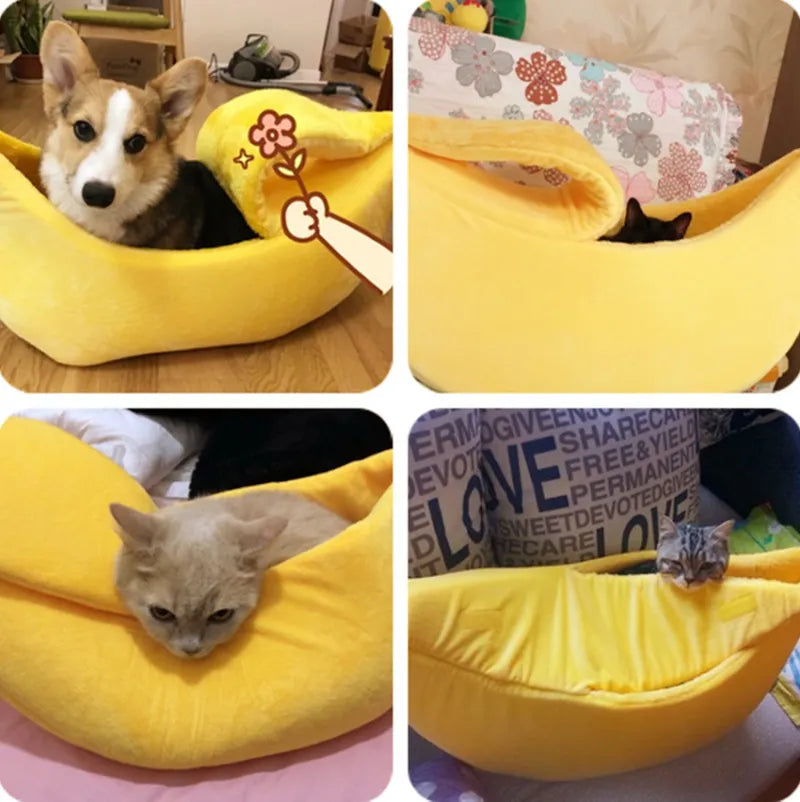 Bedding and Crates - Banana Cat Bed House