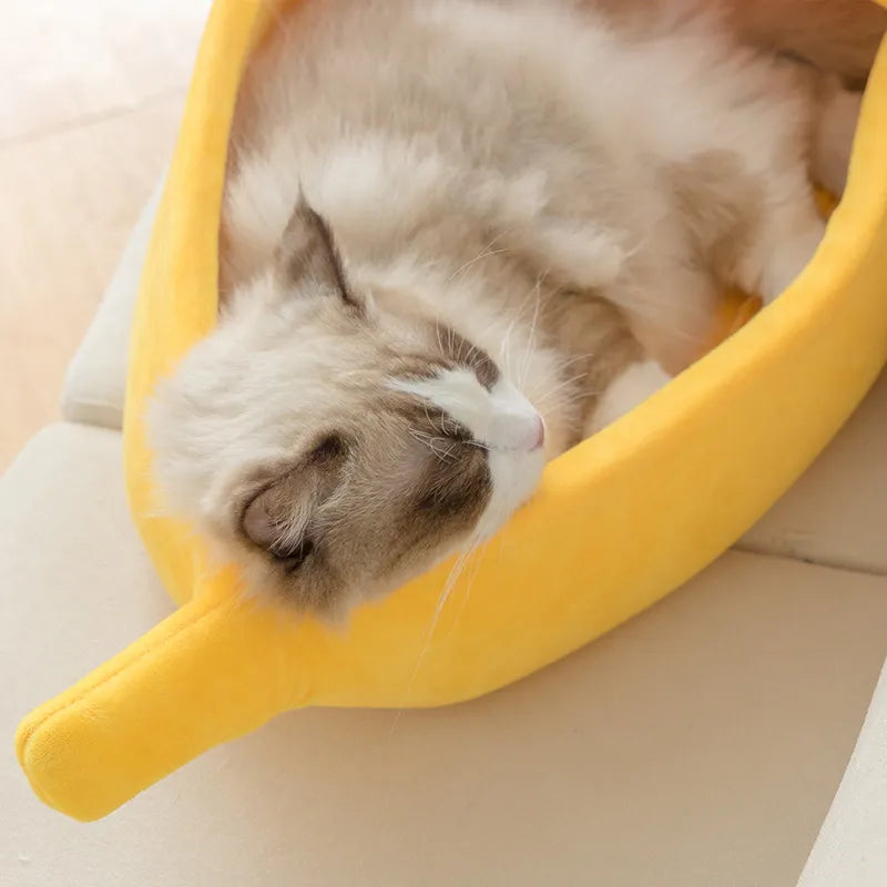 Bedding and Crates - Banana Cat Bed House