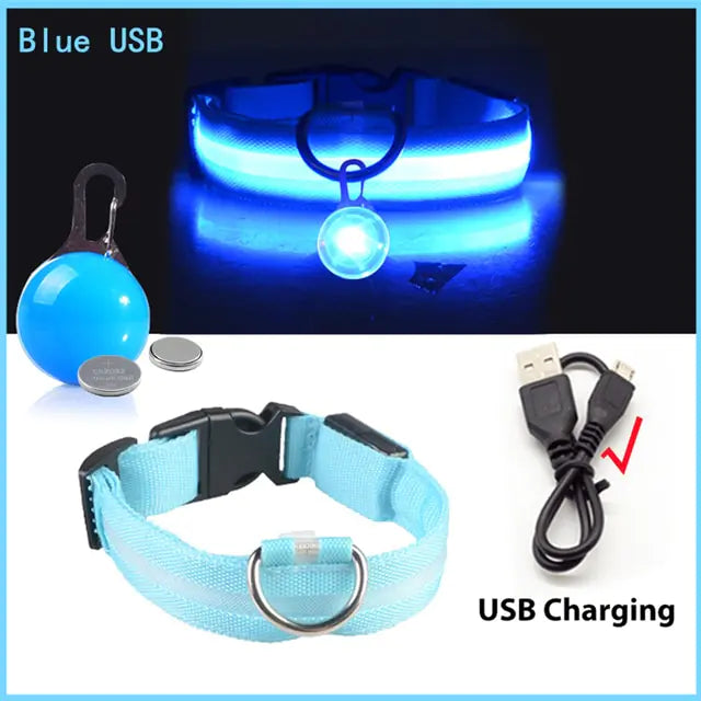 Collars, Leashes, and Harnesses -USB Charging LED Dog Collar with Detachable Pendant