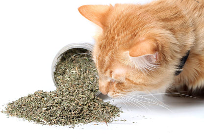 Food Treats - Organic Catnip by , Safe Premium Blend Perfect for Cats, Instilled with Maximized Potency Your Kitty Is Guaranteed to Go Crazy For! (1 Cup)