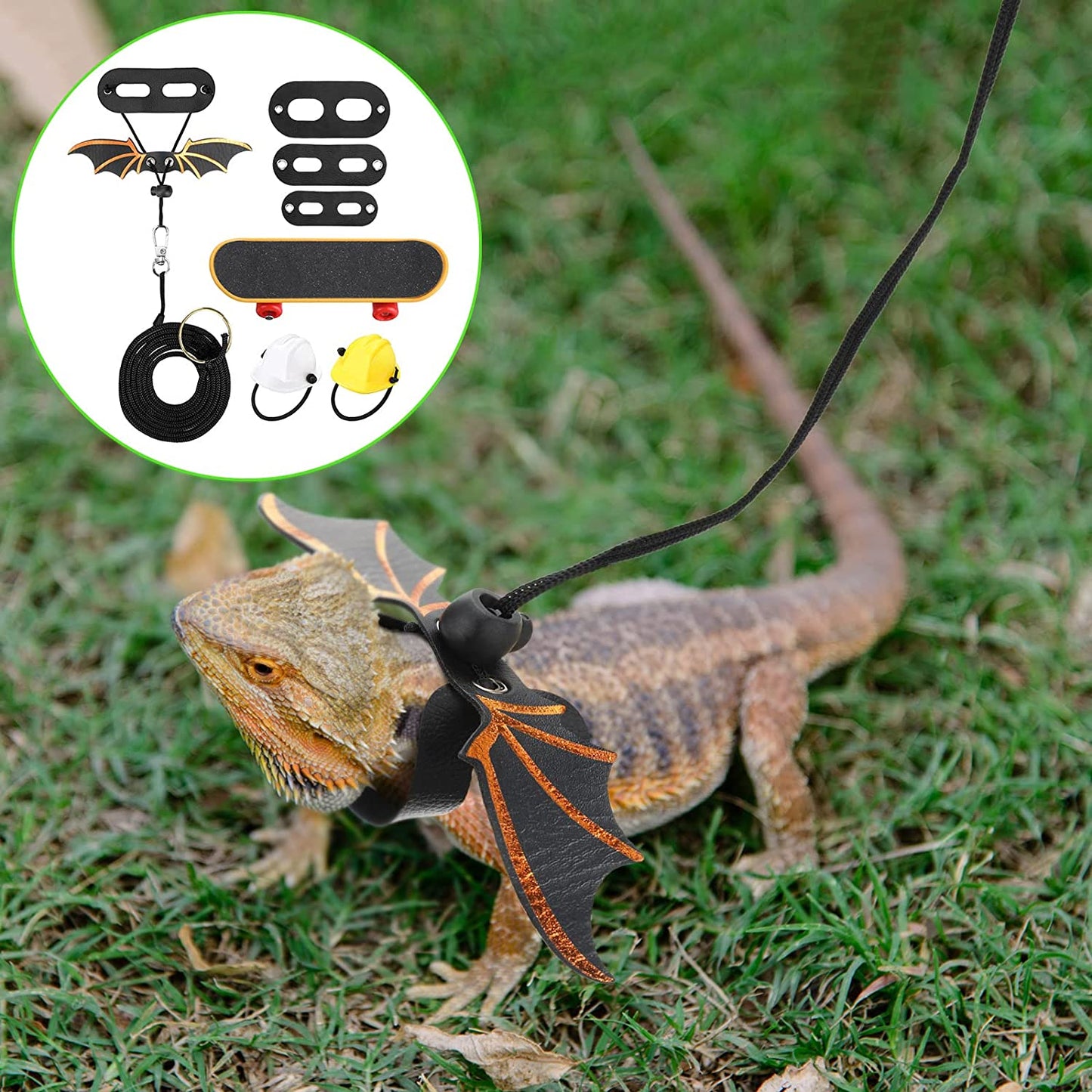 Tanks and Enclosures - 5 Pieces Bearded Dragon Accessories Toy Set Bearded Dragon Leashes and Harnesses S/M/L 3 Size Packed Lizard Harness Mini Scooter Lizard Helmet Hats Adjustable Bearded Dragon Leash (Black)