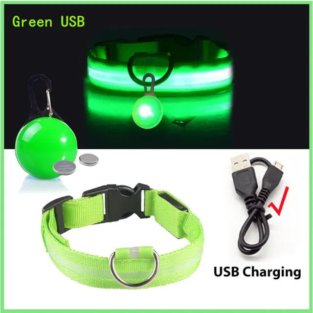 Collars, Leashes, and Harnesses -USB Charging LED Dog Collar with Detachable Pendant