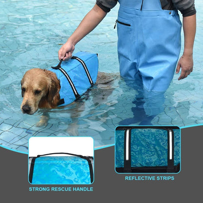 Collars, Leashes, and Harnesses - PetLife Jacket