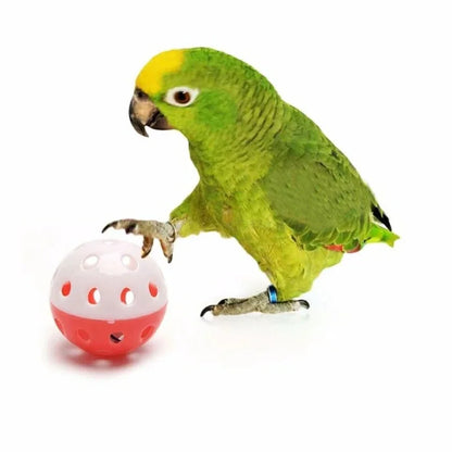 Toy - 5Pcs Pet Parrot Toy Colorful Hollow Rolling Bell Ball Bird Toy