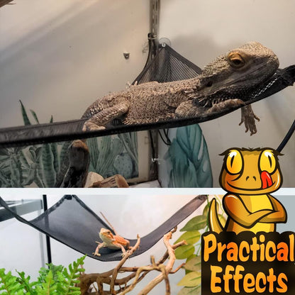 Tanks and Enclosures - Bearded Dragon Lizard Hammock