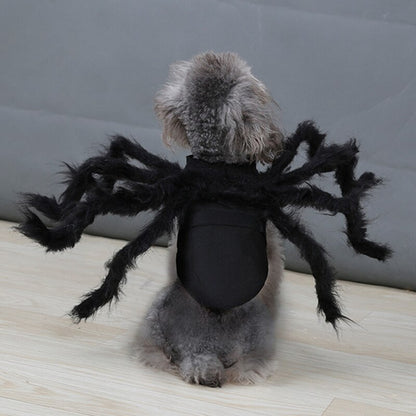 Apparel and Accessories - Spider Costume for Pets