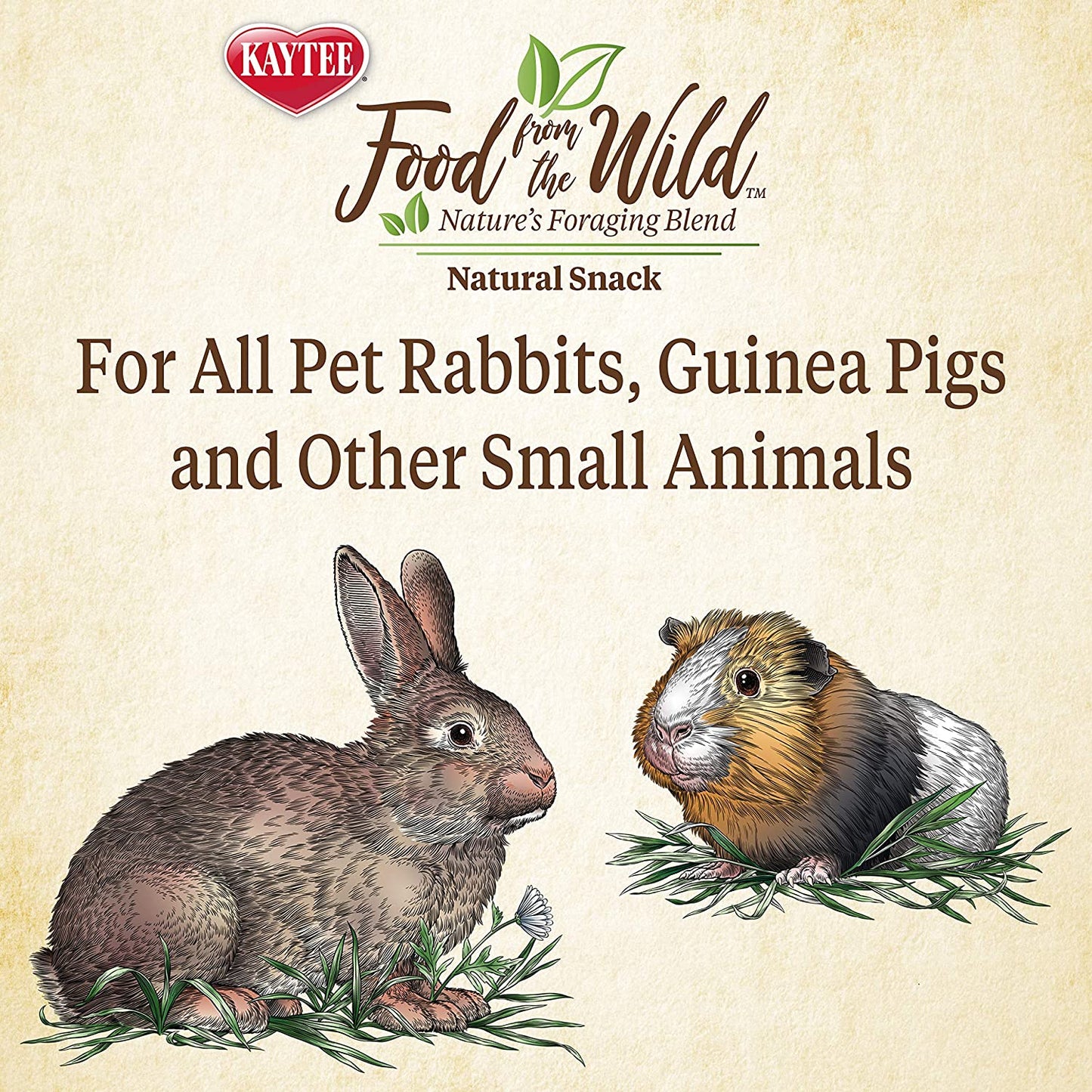 Food Treats - Food from the Wild Natural Snack for Pet Rabbits, Guinea Pigs and Other Small Animals, 1 Ounce