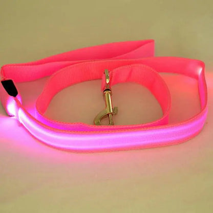 Collars, Leashes, and Harnesses - Rechargeable LED Pet Leash