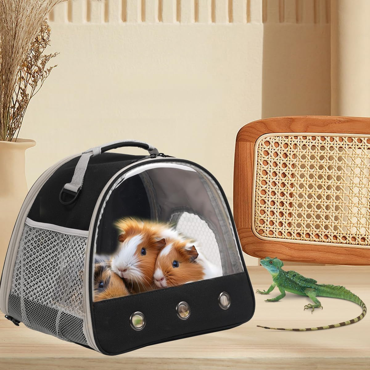 Tanks and Enclosures- Bearded Dragon Travel Carrier,Lizards Carrier, Small Animal Travel Carrier for Sugar Glider Hedgehog Rat Parrot Bird Guinea Pig, Portable Guinea Pig Travel Carrier for 2 (BLACK, Carrier)