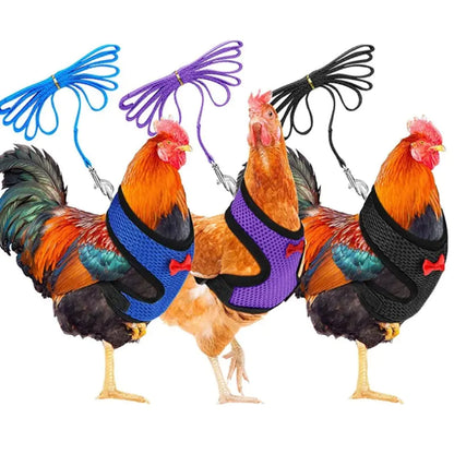 Collars, Leashes, and Harnesses - Chicken Harness with Leash