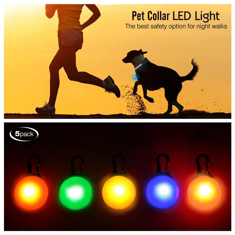 Collars, Leashes, and Harnesses -USB Charging LED Dog Collar with Detachable Pendant