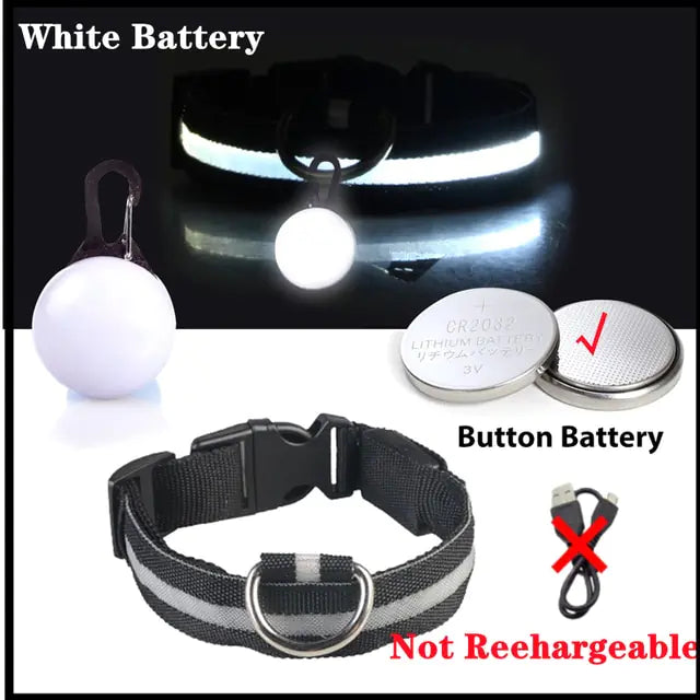 Collars, Leashes, and Harnesses -USB Charging LED Dog Collar with Detachable Pendant