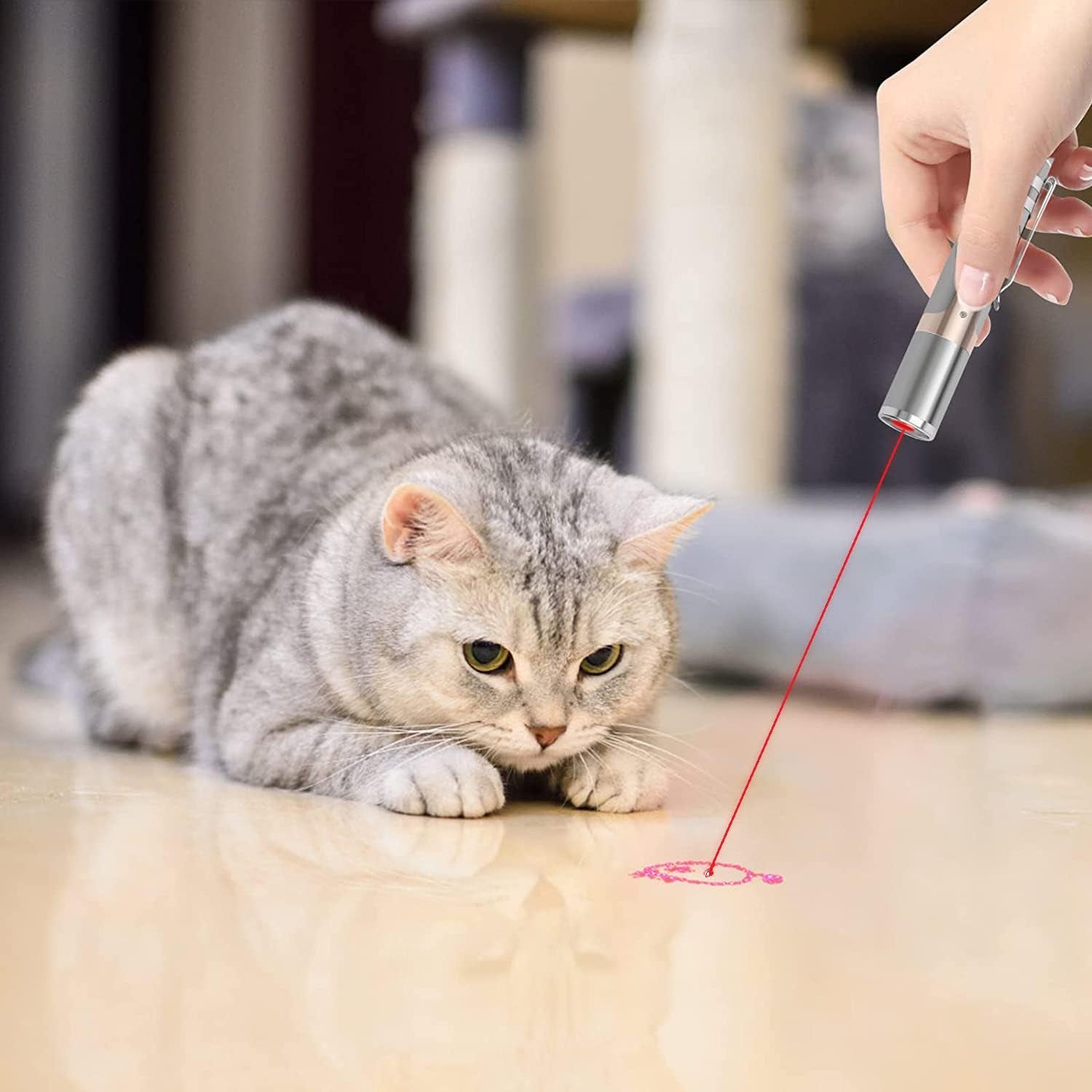 Toys -Cat Laser Pointer Toys, 2 Pieces, Rechargeable, 7 Adjustable Patterns, Interactive Kitten Pet Dog Red Dot Chase Light Toy for Indoor Cats Fun Playing Exercise