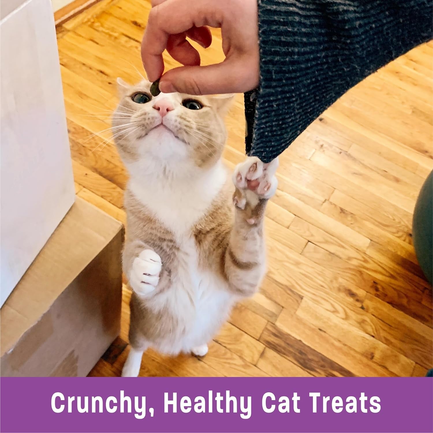 Food Treats - Wellness Kittles Crunchy Natural Grain Free Cat Treats, Chicken & Cranberries Recipe, All Life Stages, 2-Ounce Bag