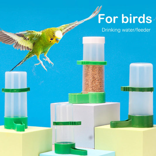 Feeding Accessories - Bird Feeder Water Drinker Automatic