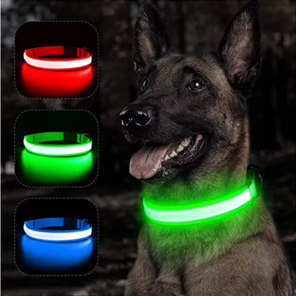 Collars, Leashes, and Harnesses -USB Charging LED Dog Collar with Detachable Pendant