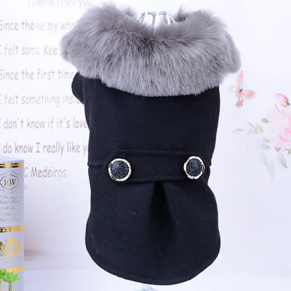 Apparel and Accessories - Pet Fur Collar Jacket