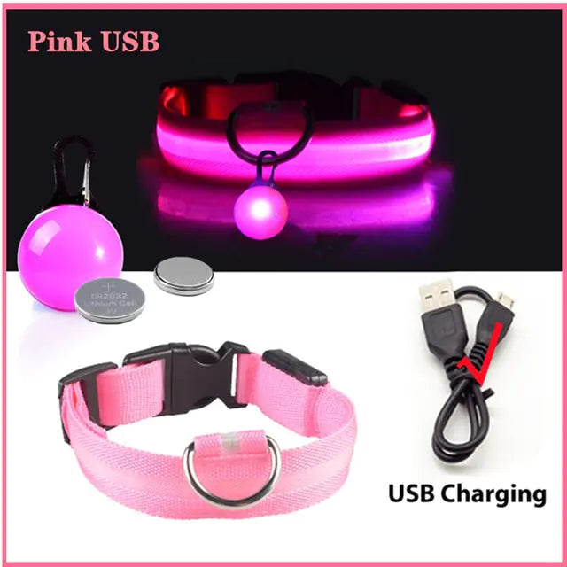 Collars, Leashes, and Harnesses -USB Charging LED Dog Collar with Detachable Pendant