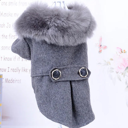 Apparel and Accessories - Pet Fur Collar Jacket