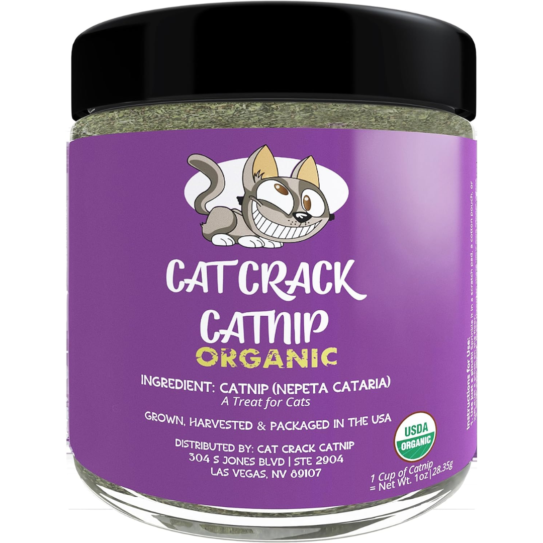 Organic Catnip, 100% Natural Cat Nips Organic Blend That Energizes and Excites Cats, Safe Catnip Treats Used for Cat Play, Cat Training, & New Organic Catnip Toys for Cats(1 Cup Organic)