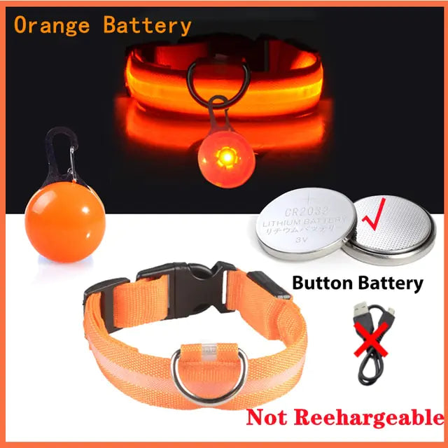 Collars, Leashes, and Harnesses -USB Charging LED Dog Collar with Detachable Pendant