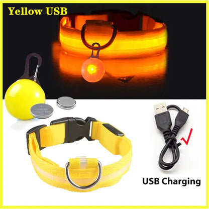 Collars, Leashes, and Harnesses -USB Charging LED Dog Collar with Detachable Pendant