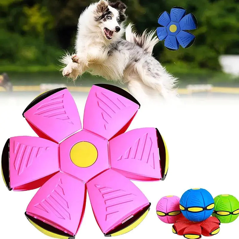 Toy - Orbix™ Pet Toy