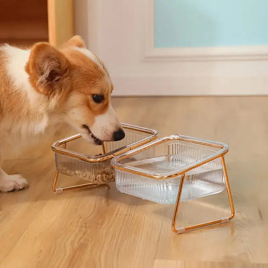 Feeding Accessories - Pampered Paws Elevated Bowl