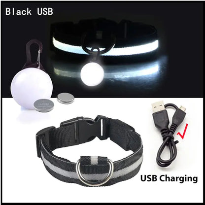 Collars, Leashes, and Harnesses -USB Charging LED Dog Collar with Detachable Pendant