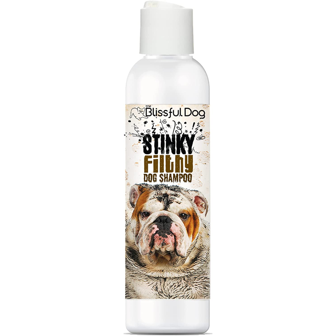 Shampoos and Conditioners - Stinky Filthy Dog Shampoo, 16 Oz