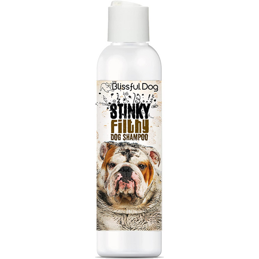 Shampoos and Conditioners - Stinky Filthy Dog Shampoo, 16 Oz