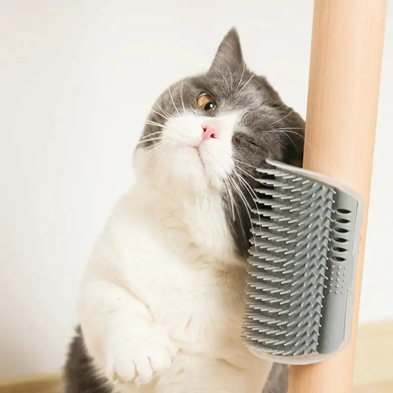 Grooming Supplies - Self Groomer