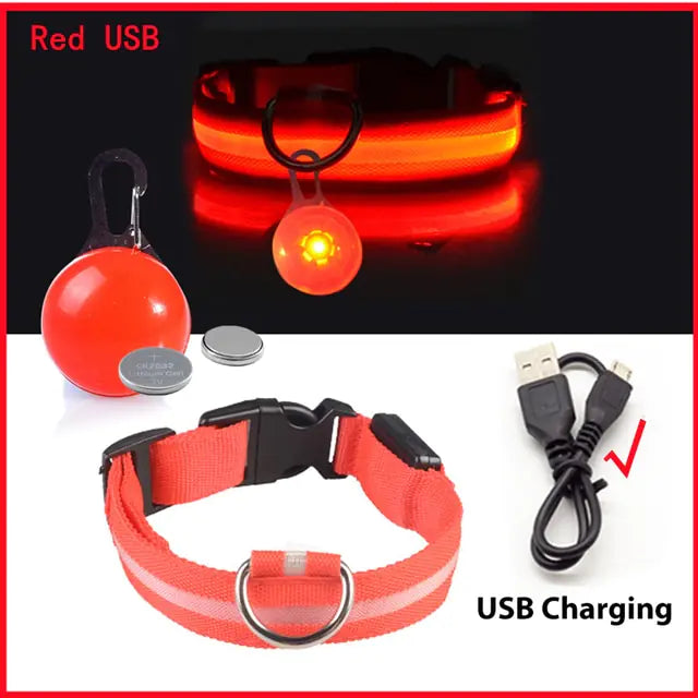 Collars, Leashes, and Harnesses -USB Charging LED Dog Collar with Detachable Pendant