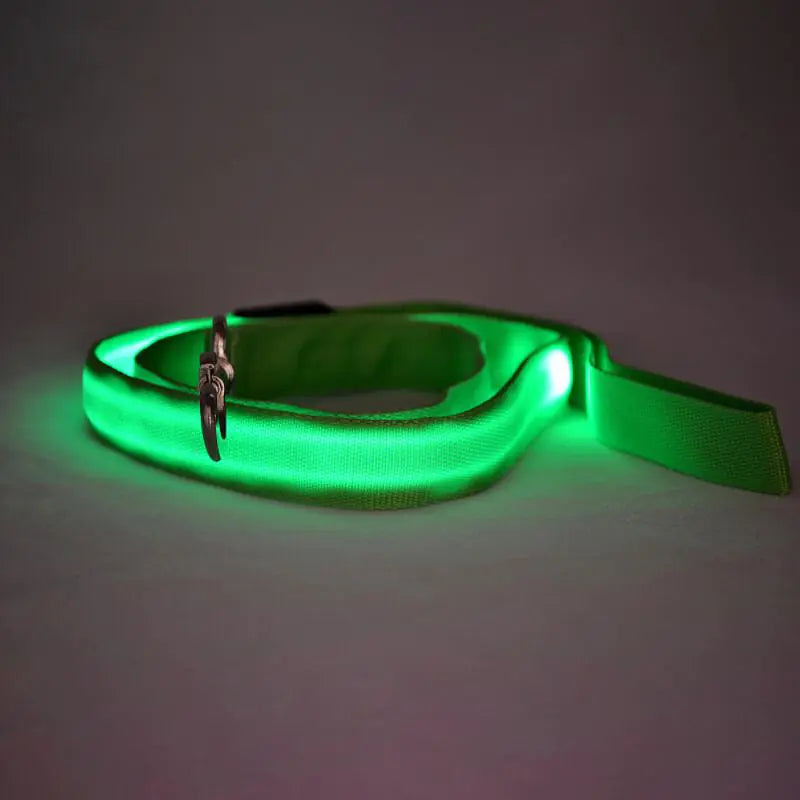 Collars, Leashes, and Harnesses - Rechargeable LED Pet Leash