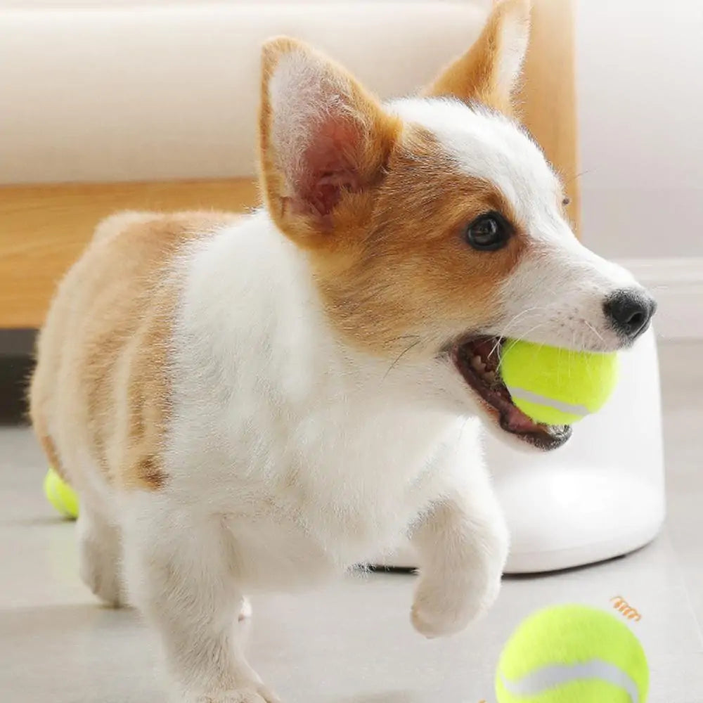 Toys - Automatic Interactive Pet Toy