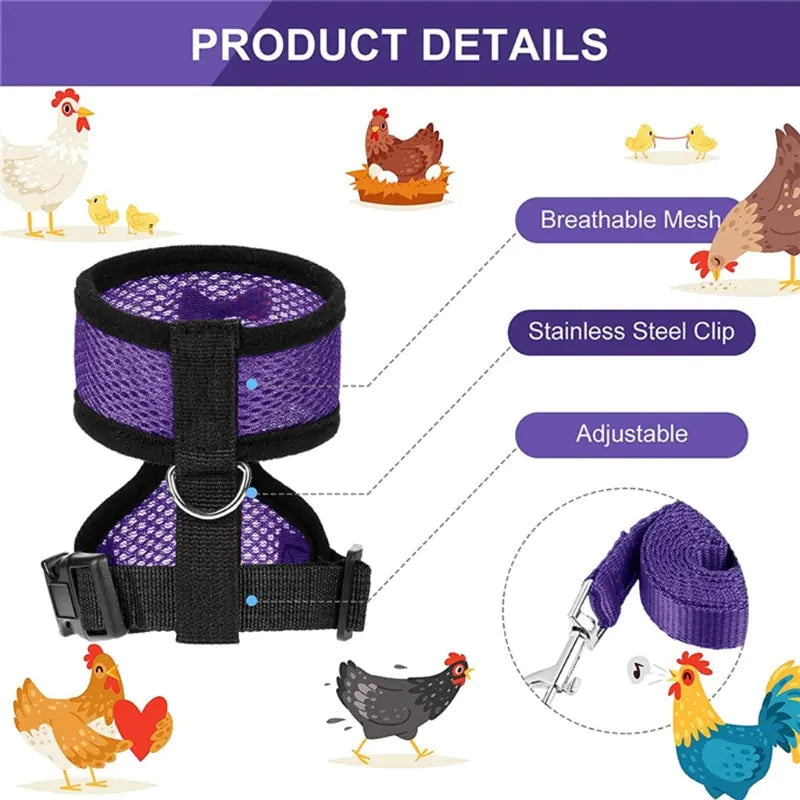 Collars, Leashes, and Harnesses - Chicken Harness with Leash