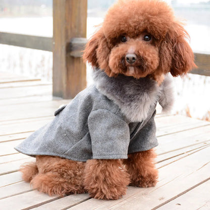 Apparel and Accessories - Pet Fur Collar Jacket