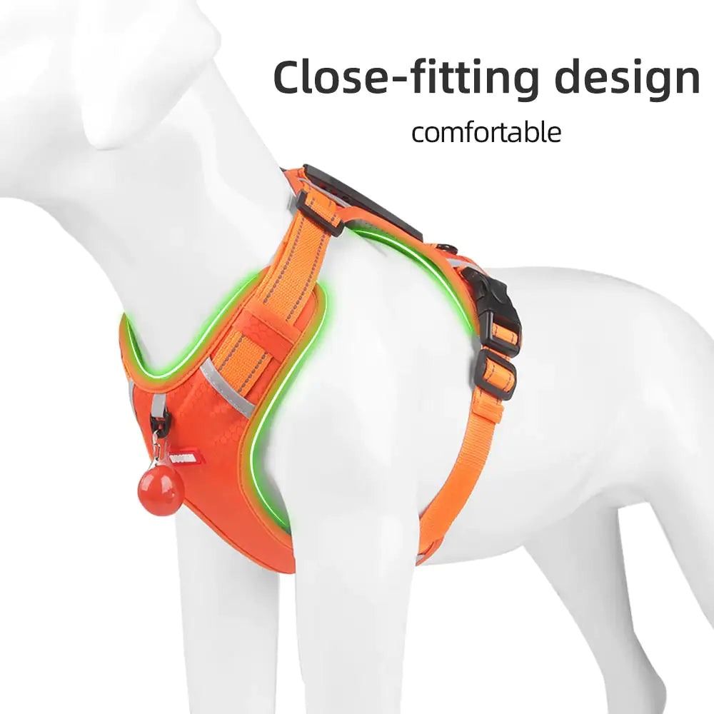 Collars, Leashes, and Harnesses - Reflectride