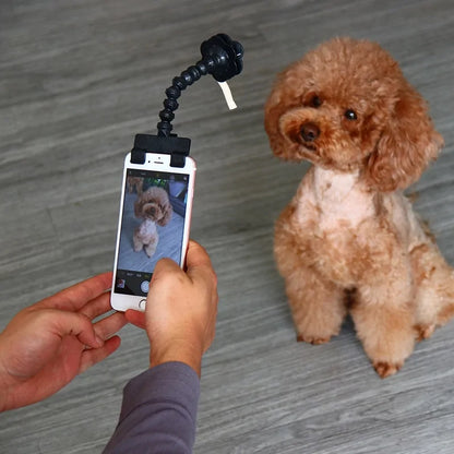 Apparel and Accessories - Selfie Stick for Pets