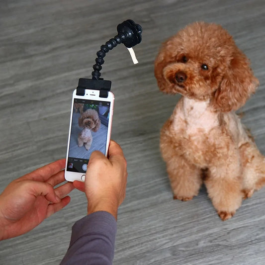 Apparel and Accessories - Selfie Stick for Pets