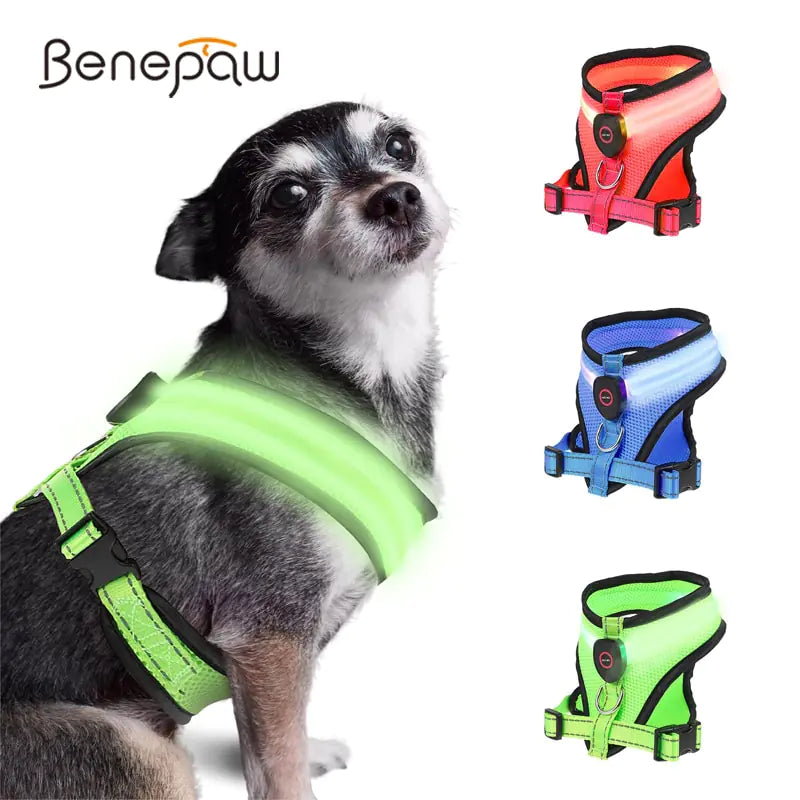 Collars, Leashes, and Harnesses - LED Light Dog Harness