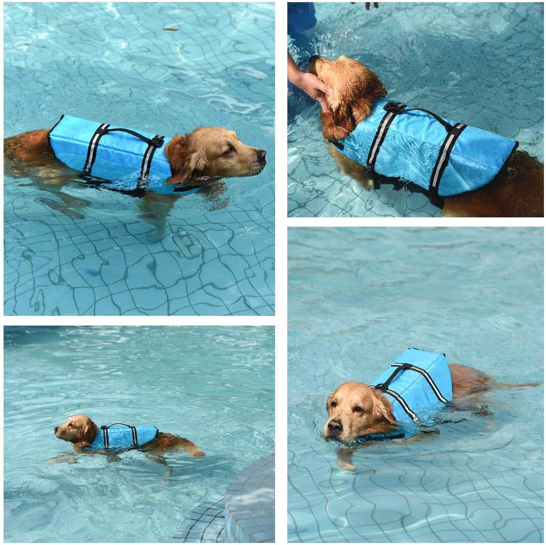 Collars, Leashes, and Harnesses - PetLife Jacket