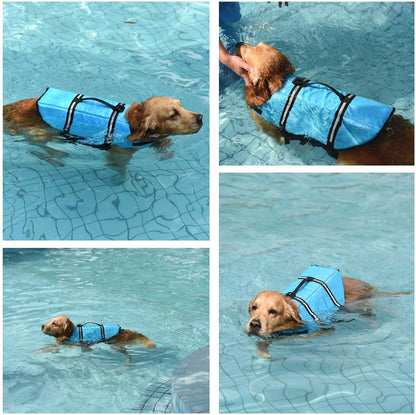 Collars, Leashes, and Harnesses - PetLife Jacket