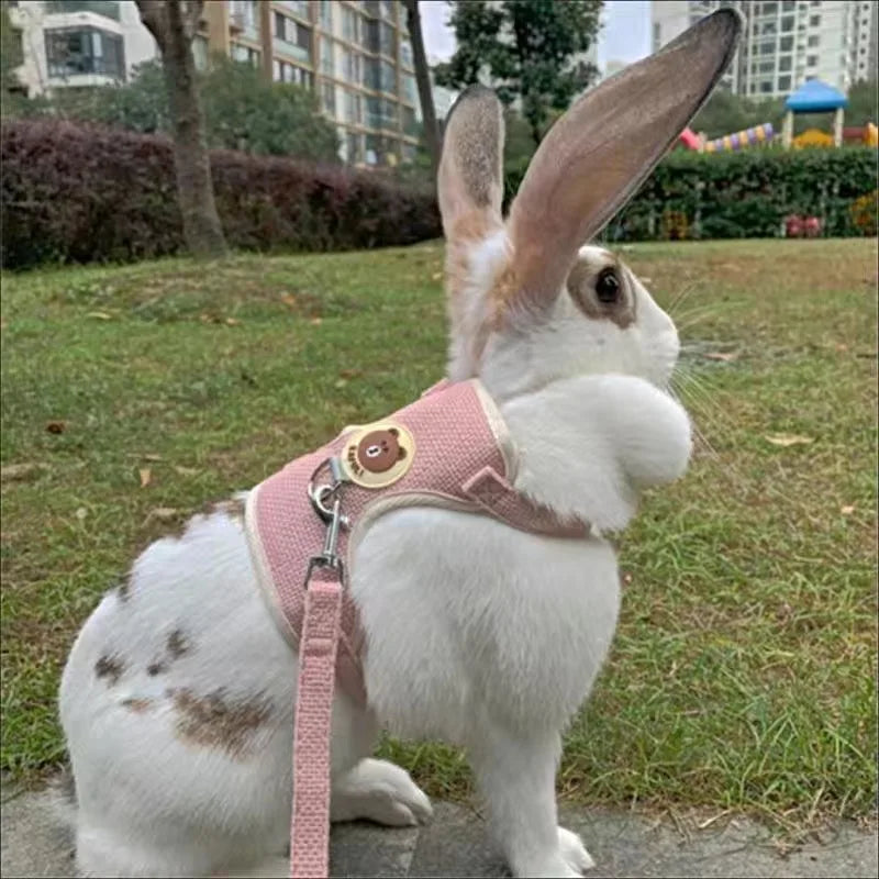 Collars, Leashes, and Harnesses - Newest Cute Rabbit Harness and Leash Set - Bunny Pet Accessories