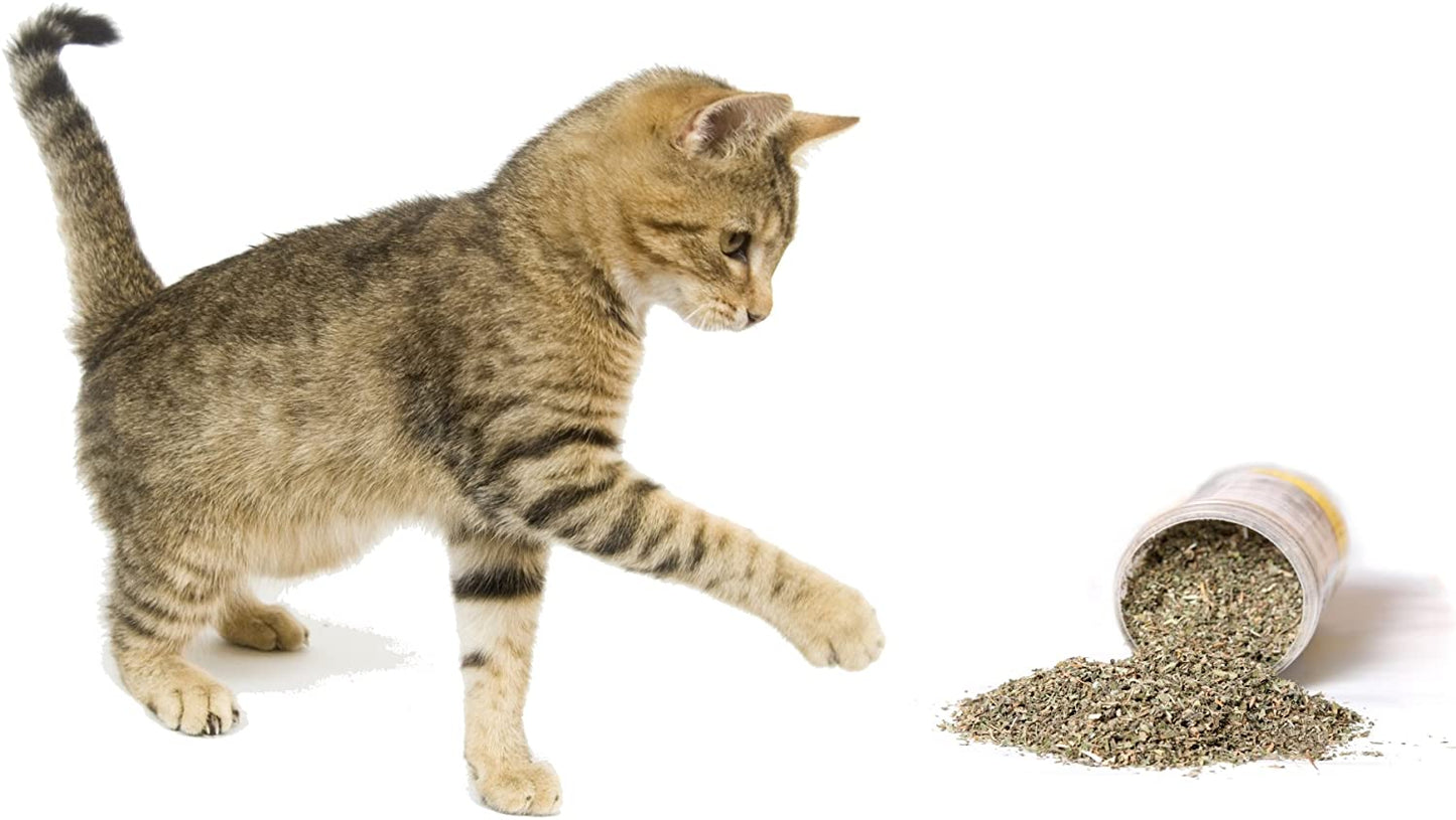 Food Treats - Organic Catnip by , Safe Premium Blend Perfect for Cats, Instilled with Maximized Potency Your Kitty Is Guaranteed to Go Crazy For! (1 Cup)