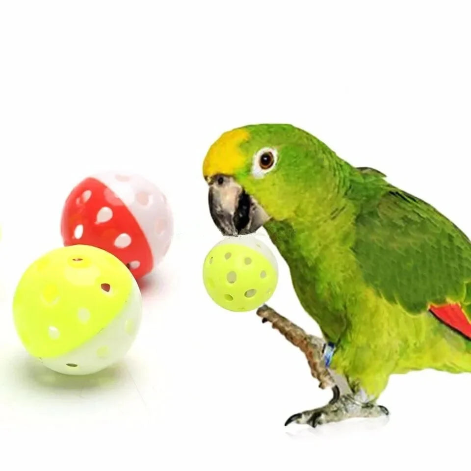 Toy - 5Pcs Pet Parrot Toy Colorful Hollow Rolling Bell Ball Bird Toy