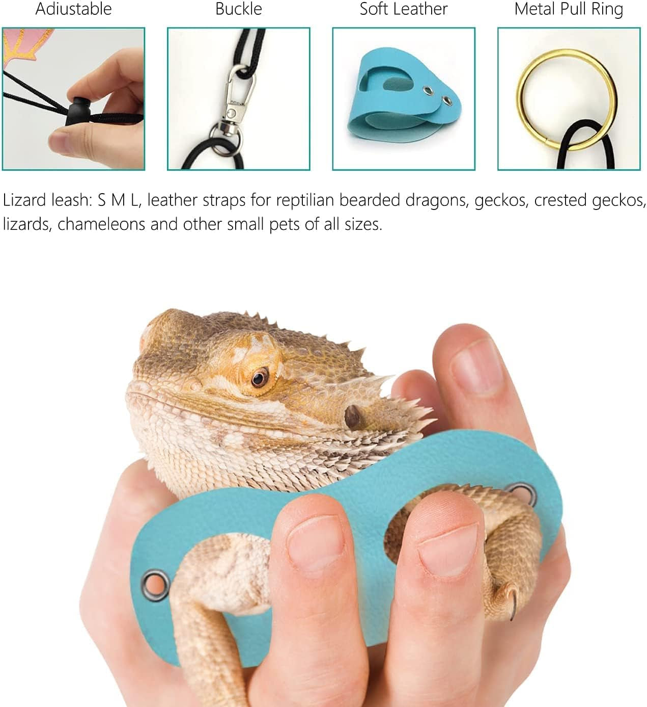 Tanks and Enclosures - Bearded Dragon Carrier and Leather Leash with Wings